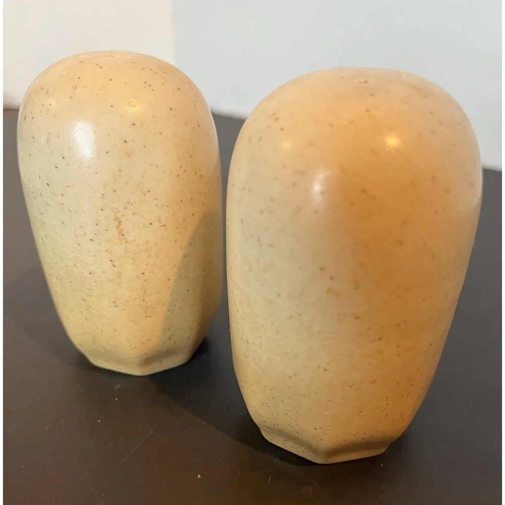 Mikasa Indian Feast Speckled Biscuit Salt and Pepper Shakers